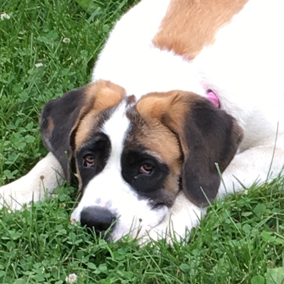 Meet your Posher, Maria - Picture 1 of 1